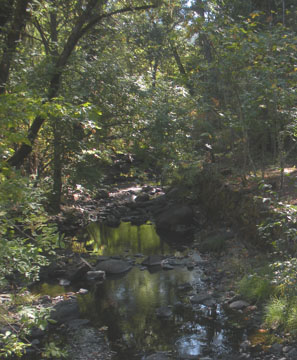 Buckhorn stream