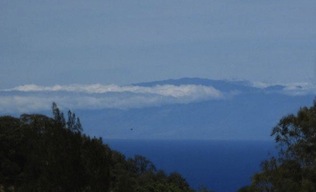 Maui view 